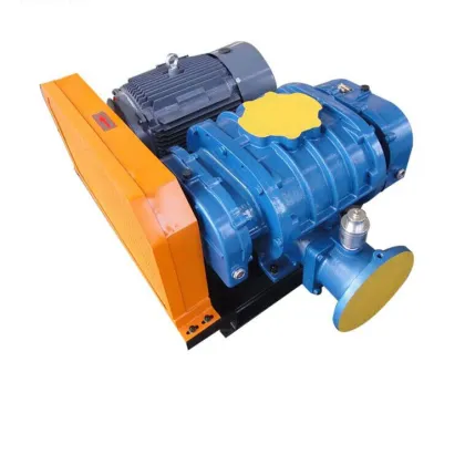 Robuschi Continental Centrifugal Blower Solutions
