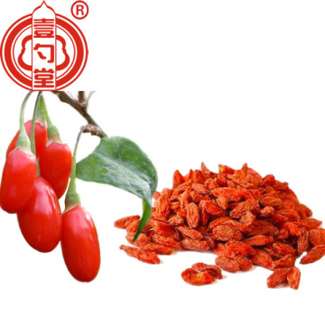 Dried Wolfberry Goji Berry Red Fruit