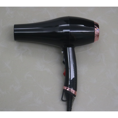 Cool Shot Two Speed Electric Ionic Hair Dryer