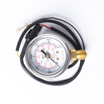 IP65 Pressure Gauge for Sequential Conversion Kit in CNG/LPG Systems