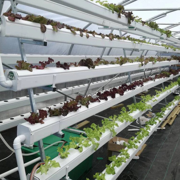 A frame hydroponic system