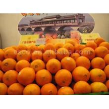 Navel Orange