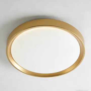 LED ceiling light for indoor ambience