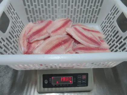 Frozen Gutted Scaled Ivp Tilapia Fish Fillet