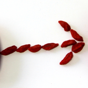 Size 750 Conventional Goji Berry