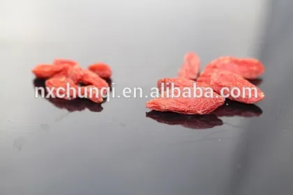 Chinese wolfberry factory/ningxia gojiberry qinghai gojiberry/different grades gojiberry