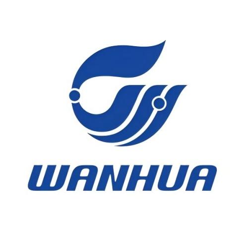 Wanhua Chemical Group global polyurethane product manufacturer client logo