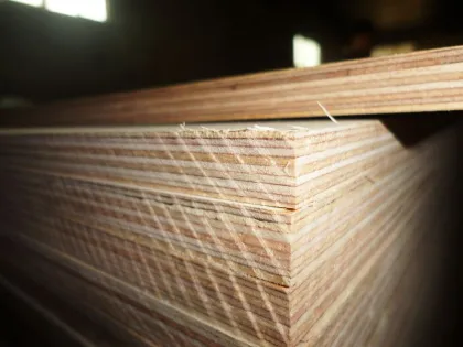 B/BB Grade Birth Plywood
