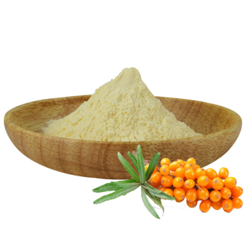 Sea Buckthorn Berry Extract Sea buckthorn fruit powder