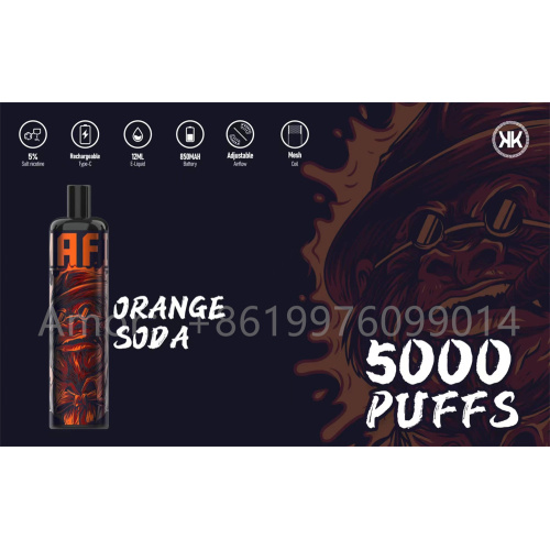 Energy 5000 Puffs Mesh Coil Disposable Vape pen