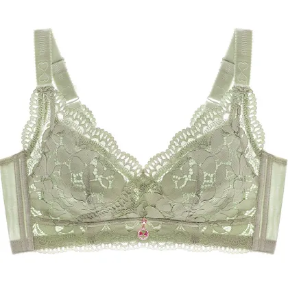 High Quality Plus Size Lace Ultra-Thin Full Cup Gather Bra