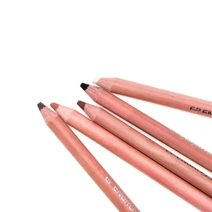 Professional Hand-Drawn Chalk Pencil Portrait: 12 Skin Tones