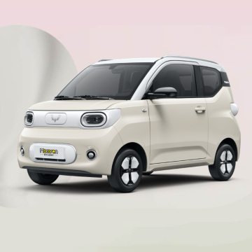 2024 Little Ant Mini Electric SUV - 251KM Range 3-Door 4-Seater NEV