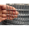 Black Welded Wire Mesh Hot-dipped Galvanized Welded Wire Mesh Supplier