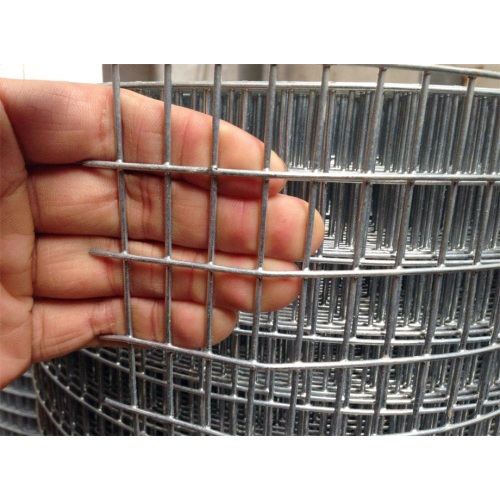 Black Welded Wire Mesh Hot-dipped Galvanized Welded Wire Mesh Supplier