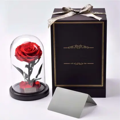 Little Prince Preserve Rose Glass Dome