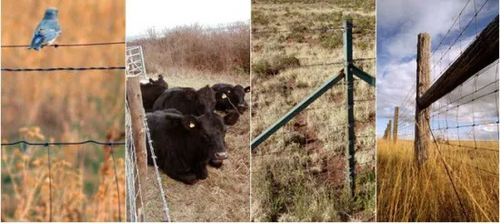 Field Fence, Grassland Fence ,Prairie fence , steel fence, wire mesh hinge joint fence, cattle fence