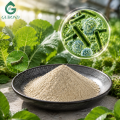مسحوق مكونات المبيدات الحشرية الميكروبية Bacillus Thuringiensis