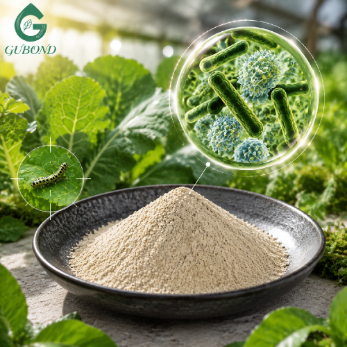مسحوق مكونات المبيدات الحشرية الميكروبية Bacillus Thuringiensis