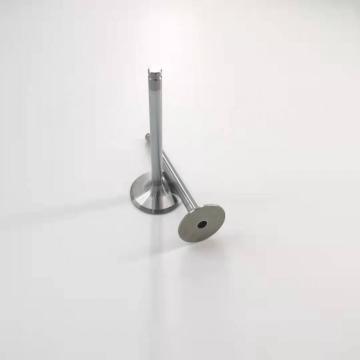 Stock Intake &valve exhaust valve for VW