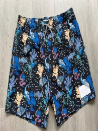 5 Inch Inseam Swim Shorts
