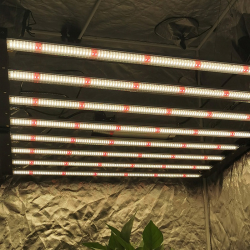 Hydroponic 1000W Growing Lights For Plants Indoor