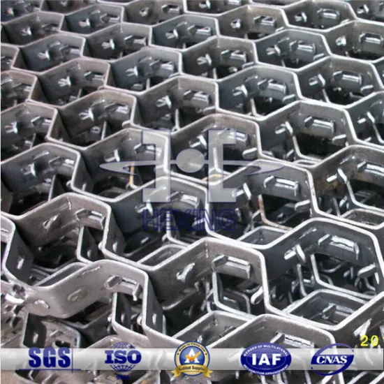 China Tortoise Shell Mesh(manufacturer &exporter)