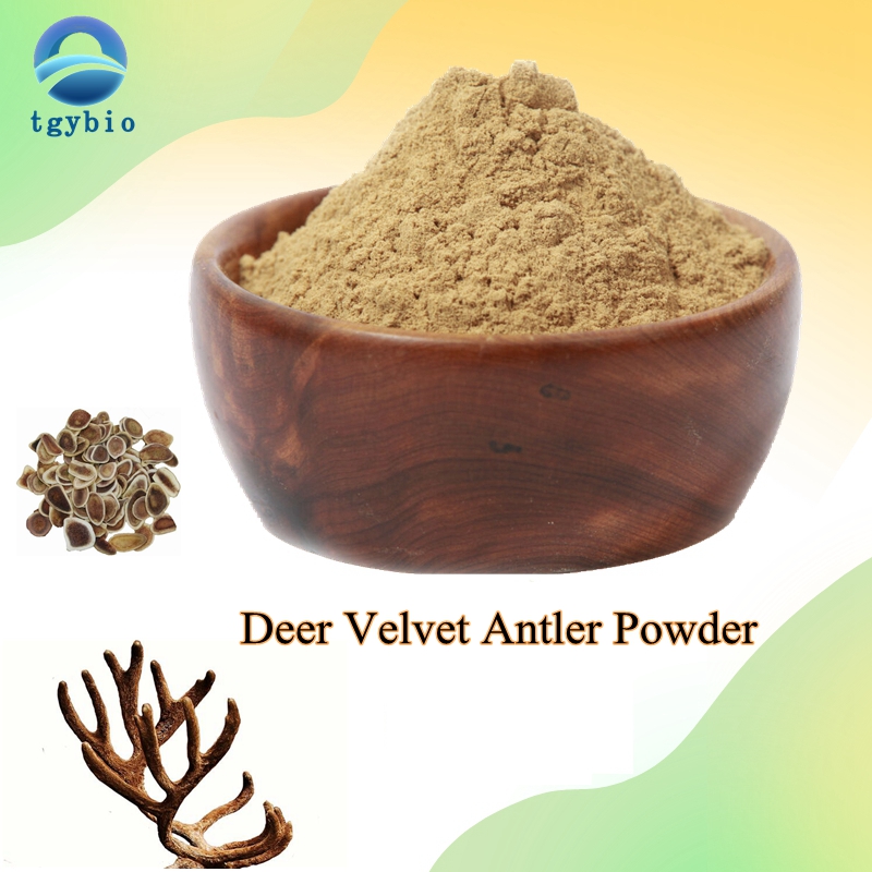 Deer Antler Velvet Extract1