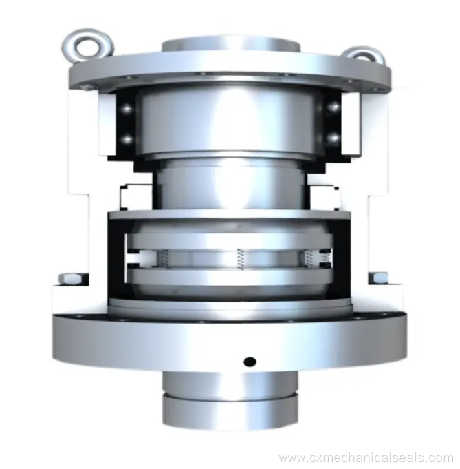 Customized Double Balanced Mechanical Seal For Agitator