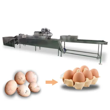 Egg Grading and Candling Machine for Small Farms