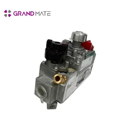 electromagnetic ignition gas stove valve