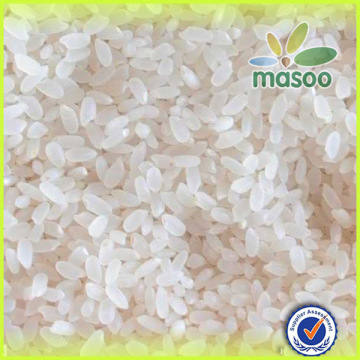 China northeast rice