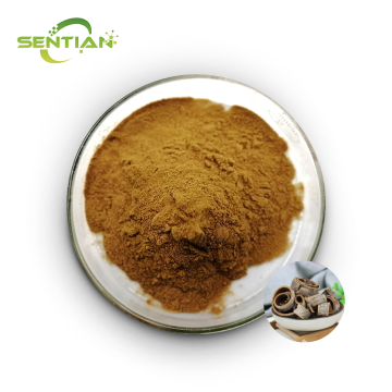Plant-Derived Magnolol Extract with Antioxidant Properties