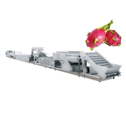 Automatic Fruit and Vegetable Washing Machinery: Fresh Ginger Washing Machine