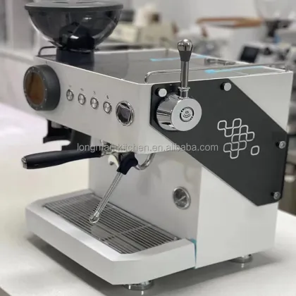 Dual Pump Stainless Steel Commercial Espresso Coffee Maker