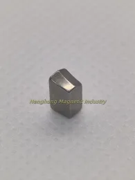 Customized Strong Magnetic N52H Magnet