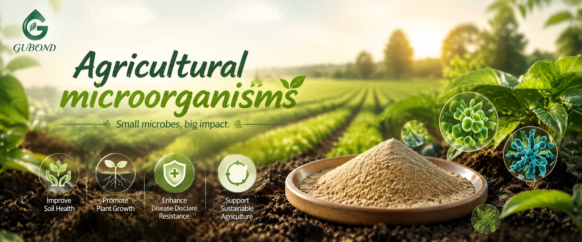 Agricultural microorganisms