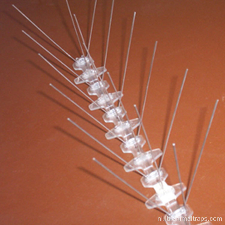 Roestvrijstalen anti -vogels spikes duivenpottende strips