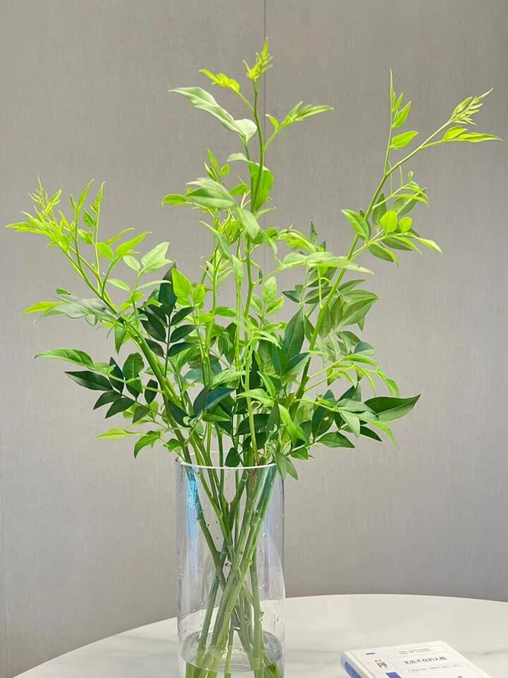 Nine-star leaf