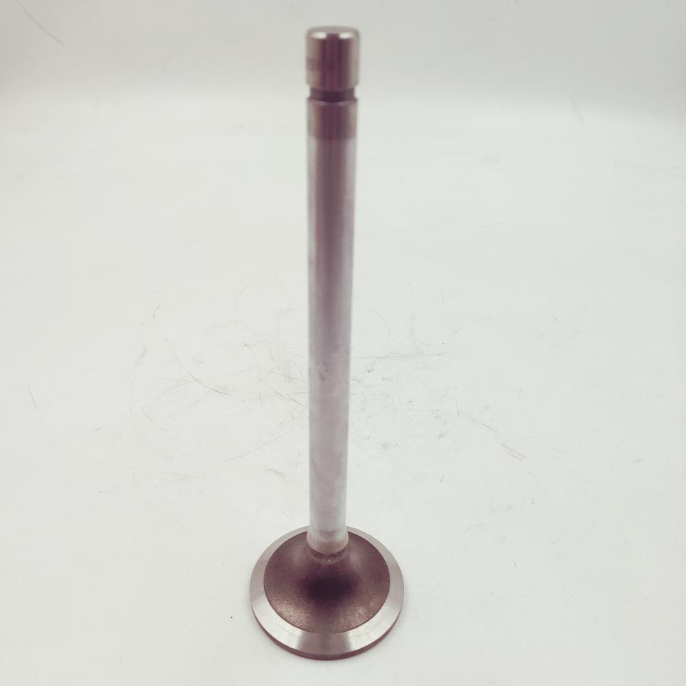 Exhaust Valve 3035110