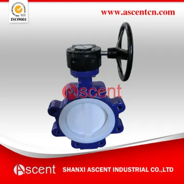 PTFE Lined Butterfly Valve