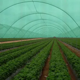 Agriculture Use Sun Shade Net