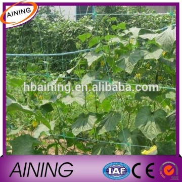 100% virgin material high quality strong climbing plant support net