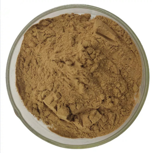 Herb Seed Powder Milk Thistle Extract