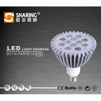 LED PAR38 Lights 12W