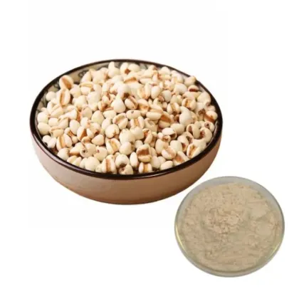 Coix Seed Extract Job' s Tears Powder Extracts