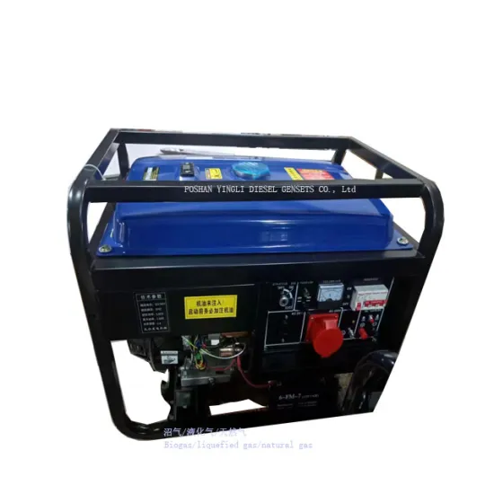 5KW AC Single Phase Biogas Generator Set - 6.25KVA Chinese Manufacturer