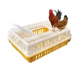 Poultry Transport Cages: Chicken and Duck Nesting Boxes