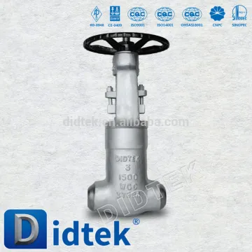 Didtek Power Station flap gate valve