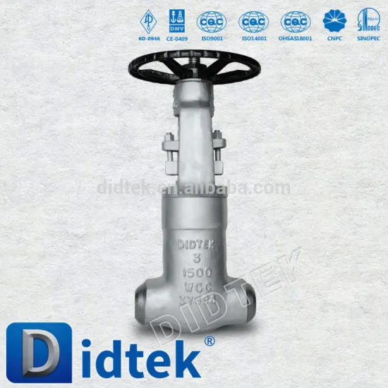 Didtek Power Station flap gate valve